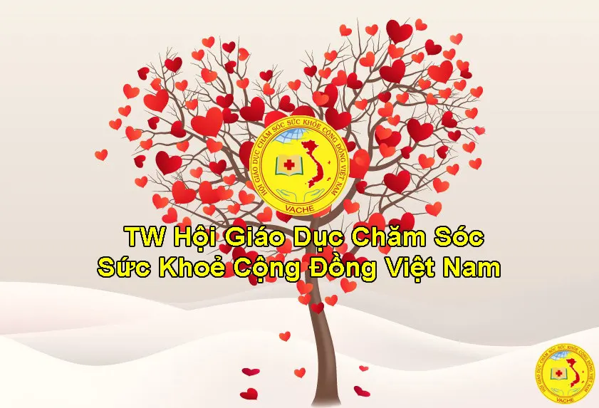 Ảnh: Báo Cáo Hoạt Động và Nội Dung Cuộc Họp Cổng Thông Tin Điện Tử của TW Hội VACHE