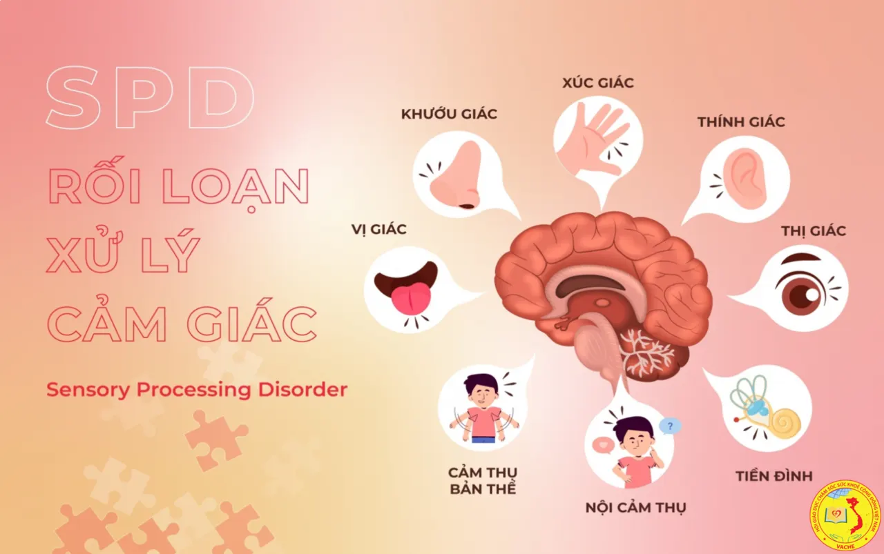 Ảnh: Trung tâm VnHouse hướng dẫn một số bài tập điều hoà cảm giác cho trẻ.
