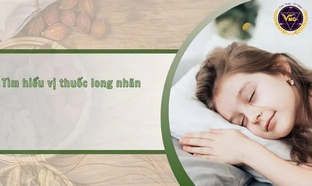 Ảnh: Long nhãn và những tác dụng không ngờ