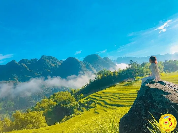 Ảnh: Nhìn " cái đẹp " có lợi như thế nào bạn biết chưa ?