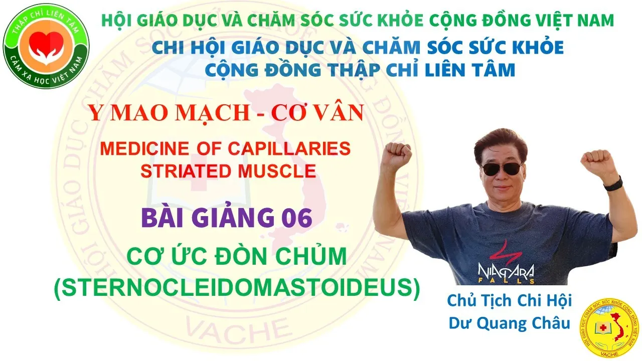 Ảnh: Bài 006: Cơ ức đòn chủm