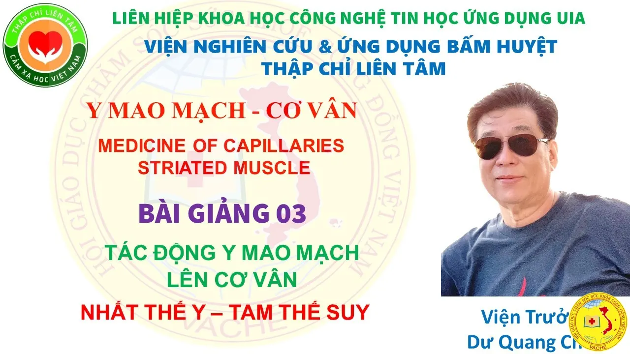 Ảnh: Bài 003: Tác động y mao mạch lên cơ vân